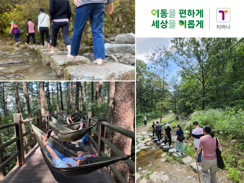 이동을 편하게 세상을 이롭게 | 티머니. 운송종사자 숲체원 활동 사진