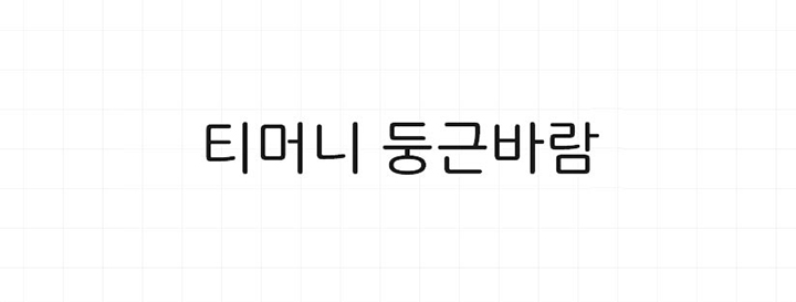 티머니 둥근바람 Regular